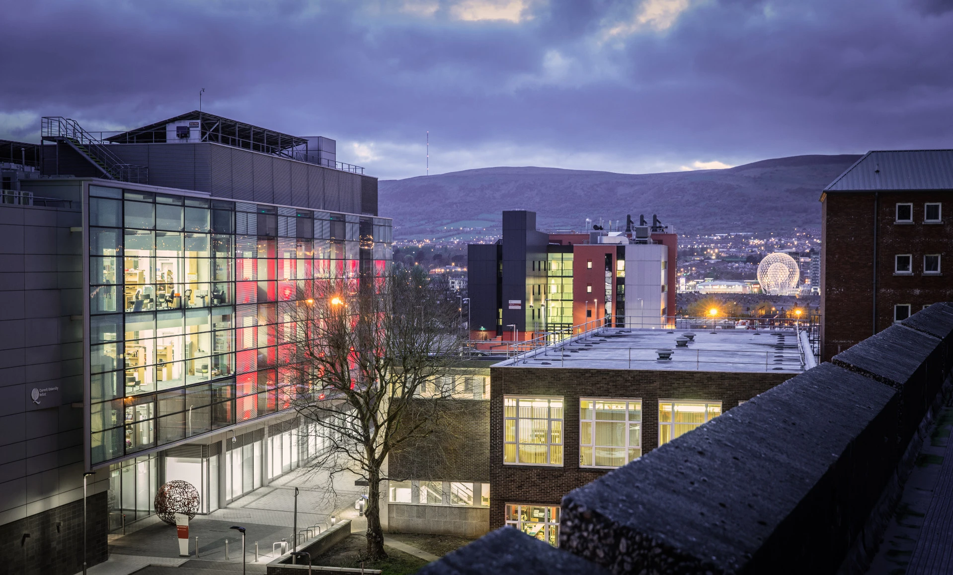 The Welcome-Wolfson Institute for Experimental Medicine